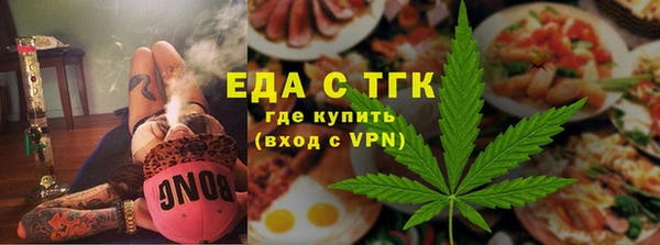 индика Инта