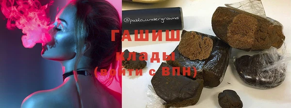 индика Инта