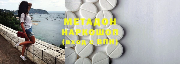 индика Инта