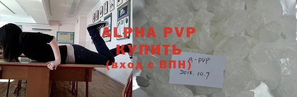 винт Каменка