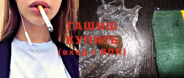 индика Инта