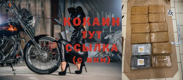 винт Каменка