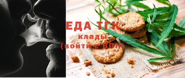 индика Инта