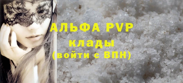 индика Инта