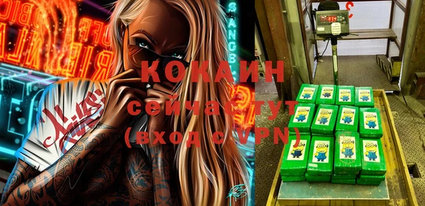 индика Инта