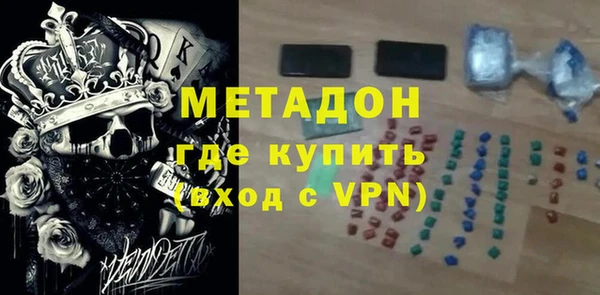 индика Инта