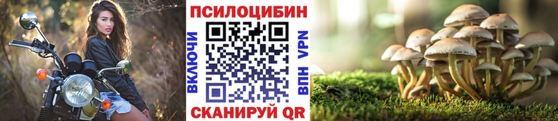гидра ТОР  shop какой сайт  Псилоцибиновые грибы GOLDEN TEACHER  Томмот 